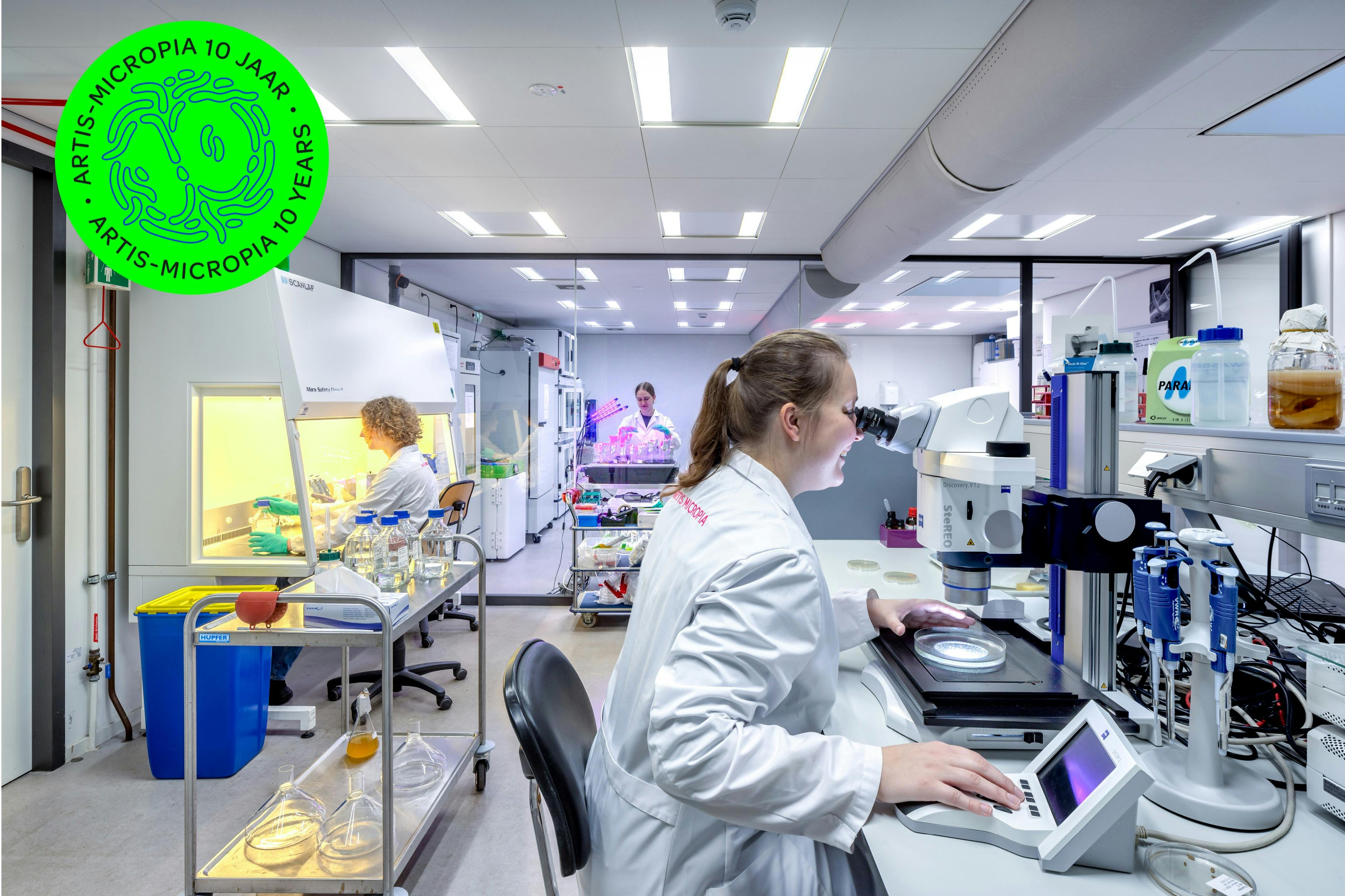 Discover the laborers