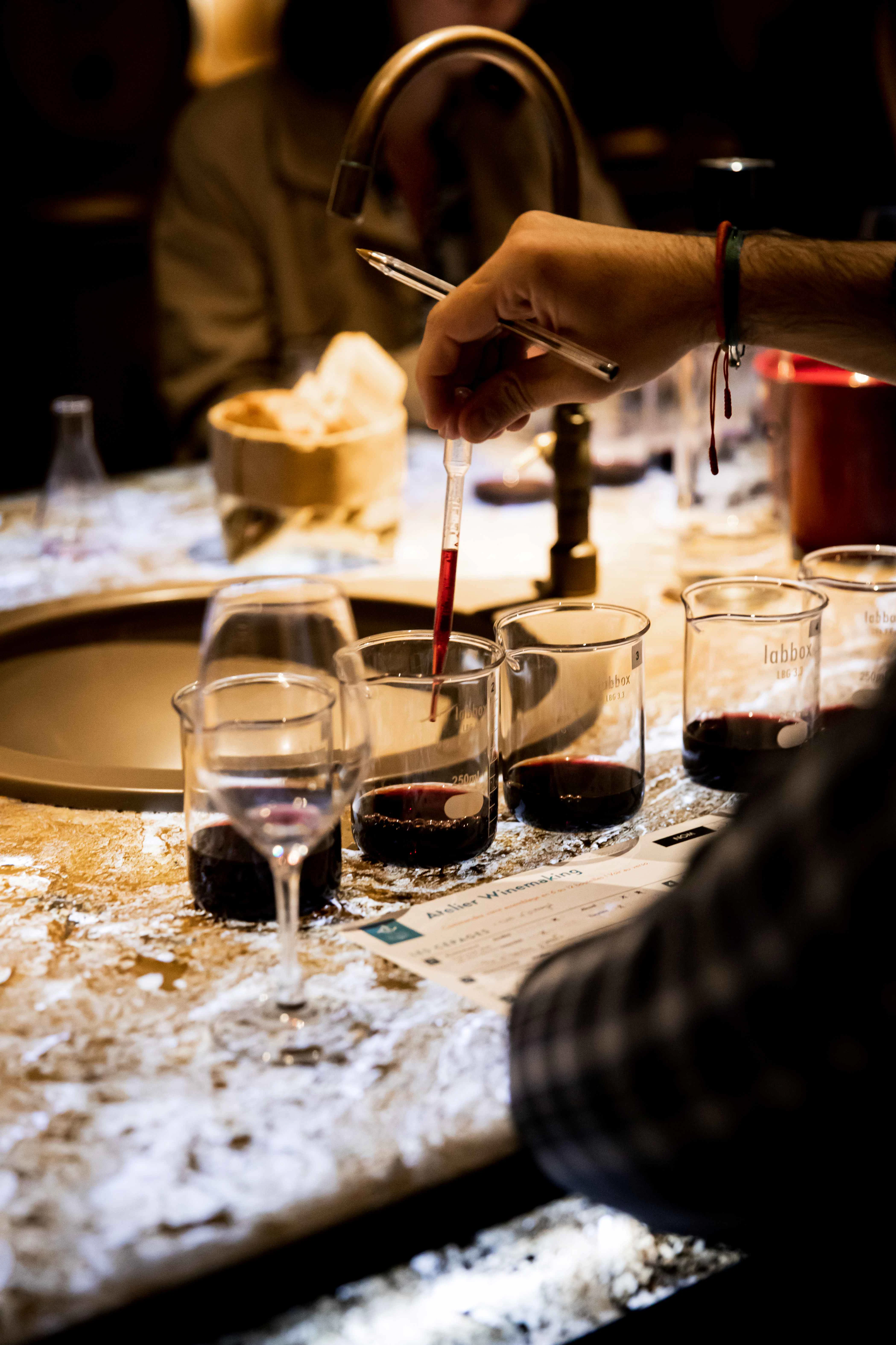 Les Caves du Louvre: Guided Winemaking Workshop
