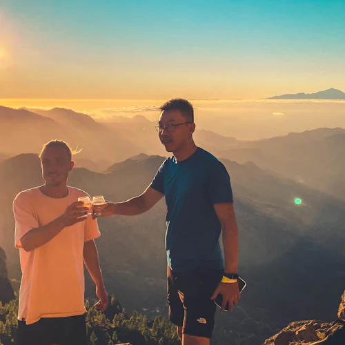 Gran Canaria: Guided Volcano Tour + Local Products Tasting + Roundtrip Transfer - Photo 15