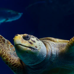 The Florida Aquarium: Entry Ticket 2