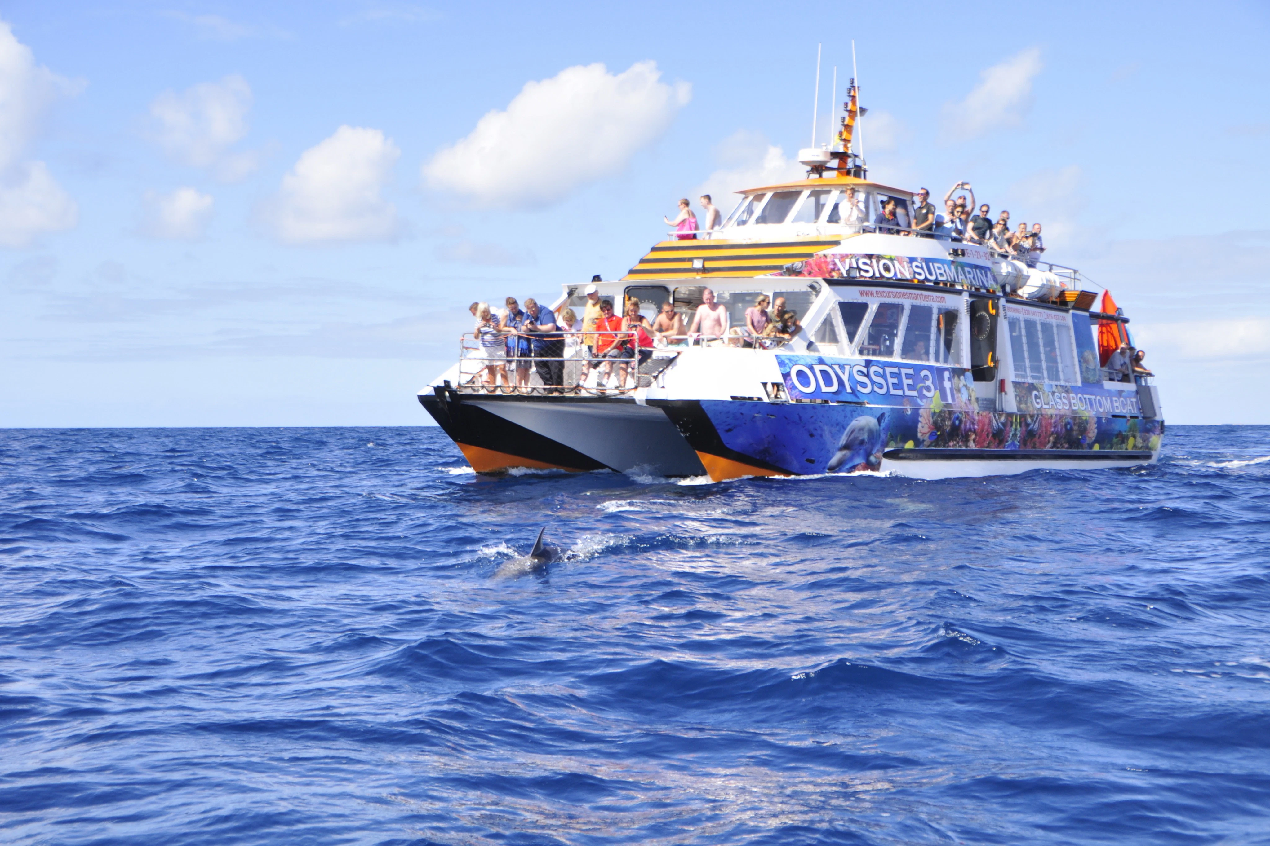 Morro Jable: Glass-Bottom Boat Tour + Lunch
