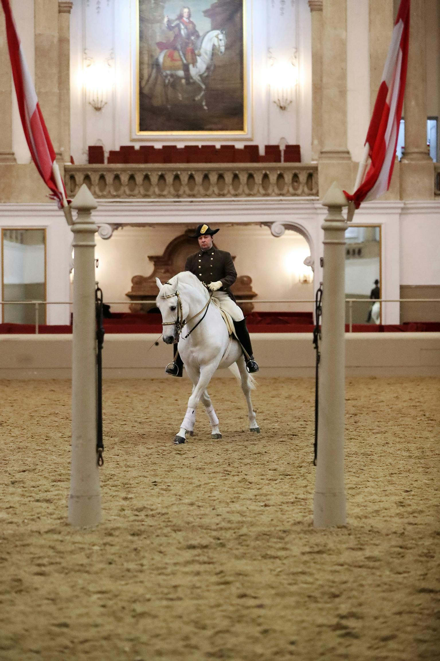 Image du cheval et du cavalier pendant la performance