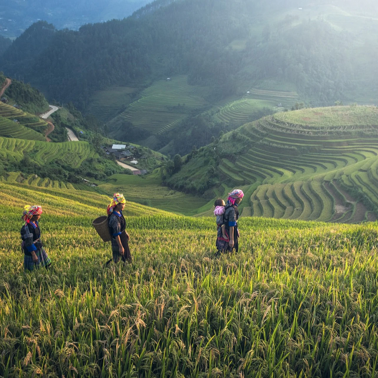 Bali: Firefly-Watching Experience + Traditional Dinner in Bali β Tiqets