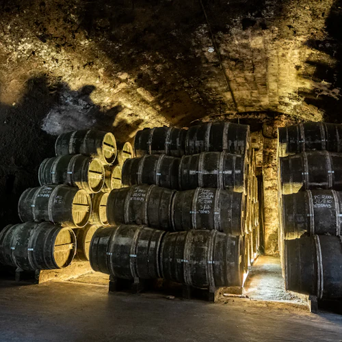Château Royal de Cognac: Visita guiada + degustação - Photo 2