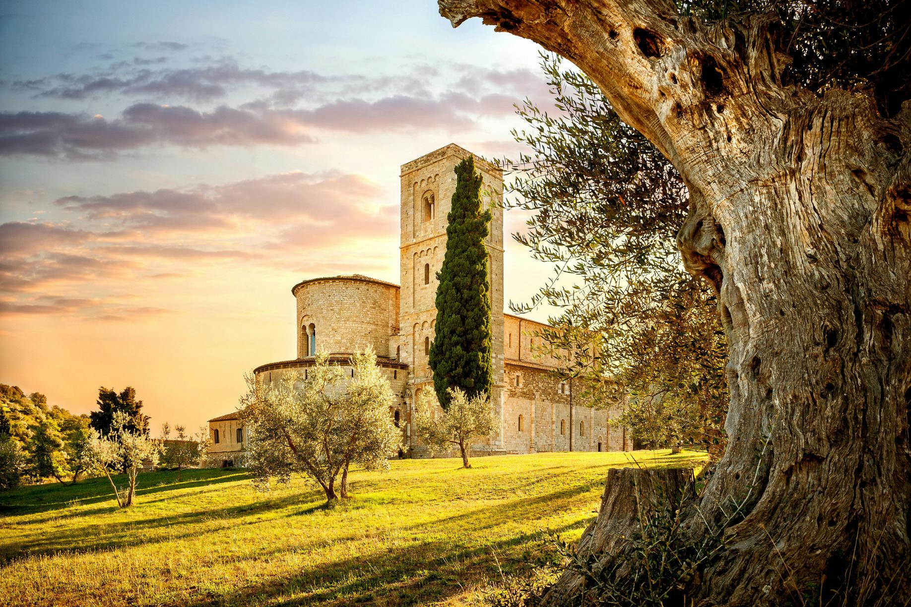 Medieval Tuscany Experience: Visit Monteriggioni and Val d'Orcia from Florence
