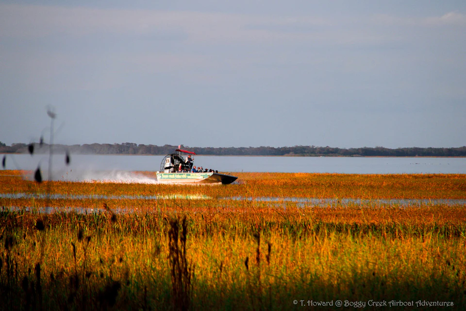 An airboat speeds through a marshy area with tall grasses under a partly cloudy sky.