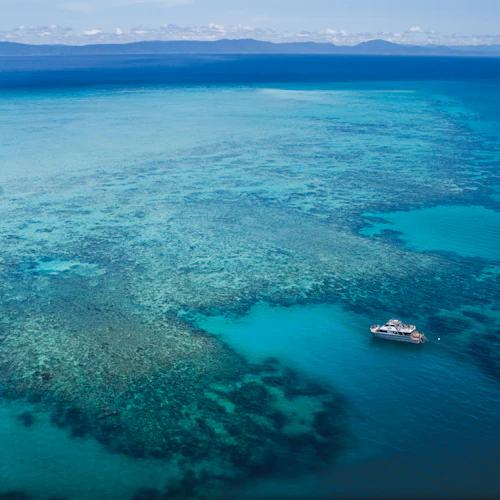 Grande Barreira de Coral: Passeio de barco guiado a partir de Cairns + Snorkelling + Almoço - Photo 14