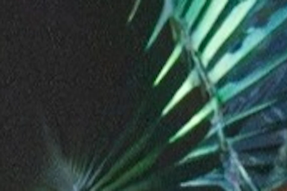 Two boys sit on cubes in a room with immersive tropical plant projections on the walls and floor.