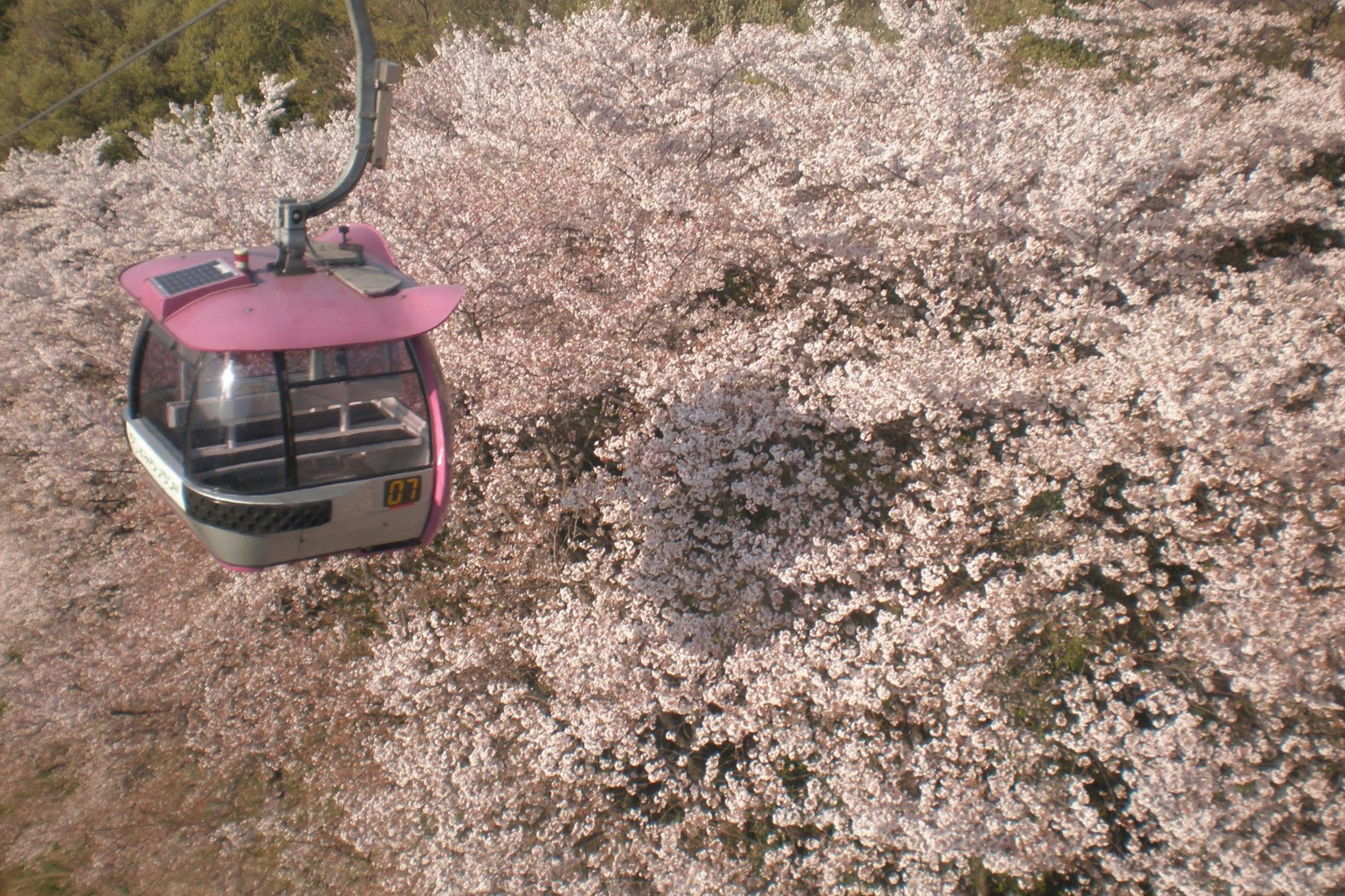 Yomiuriland: Entry Ticket + Optional 1-Day Train Pass - Photo 2