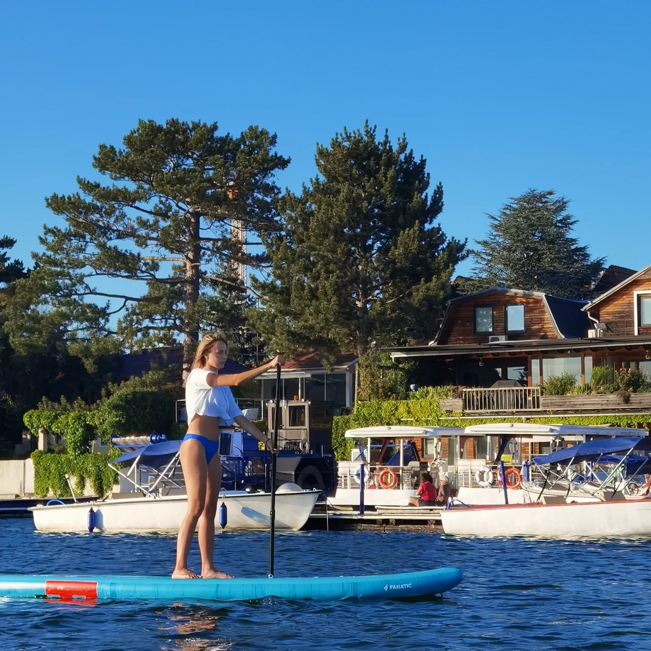 Vienna: Stand-Up Paddleboard Rental
