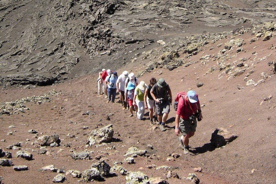 Parque Natural de los Volcanes: Escursione guidata + Trasferimenti + Spuntino — 2