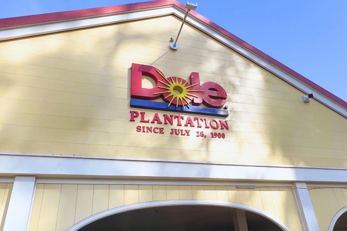 Dole Plantage, Kō Hana Distillers & Mauka Warriors Luau: Geführte Tour + Abendessen — 5