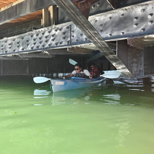 San Francisco: 1-Hour Kayak or Stand-up Paddleboard Rental - Photo 11