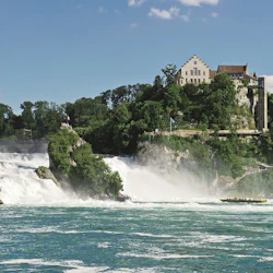 Rhine Falls & Schloss Laufen: Guided Tour + Transfers 3