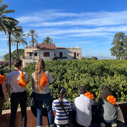 Huerto Ribera: Guided Orange Orchard Tour from Valencia + Food Tasting - Photo 3