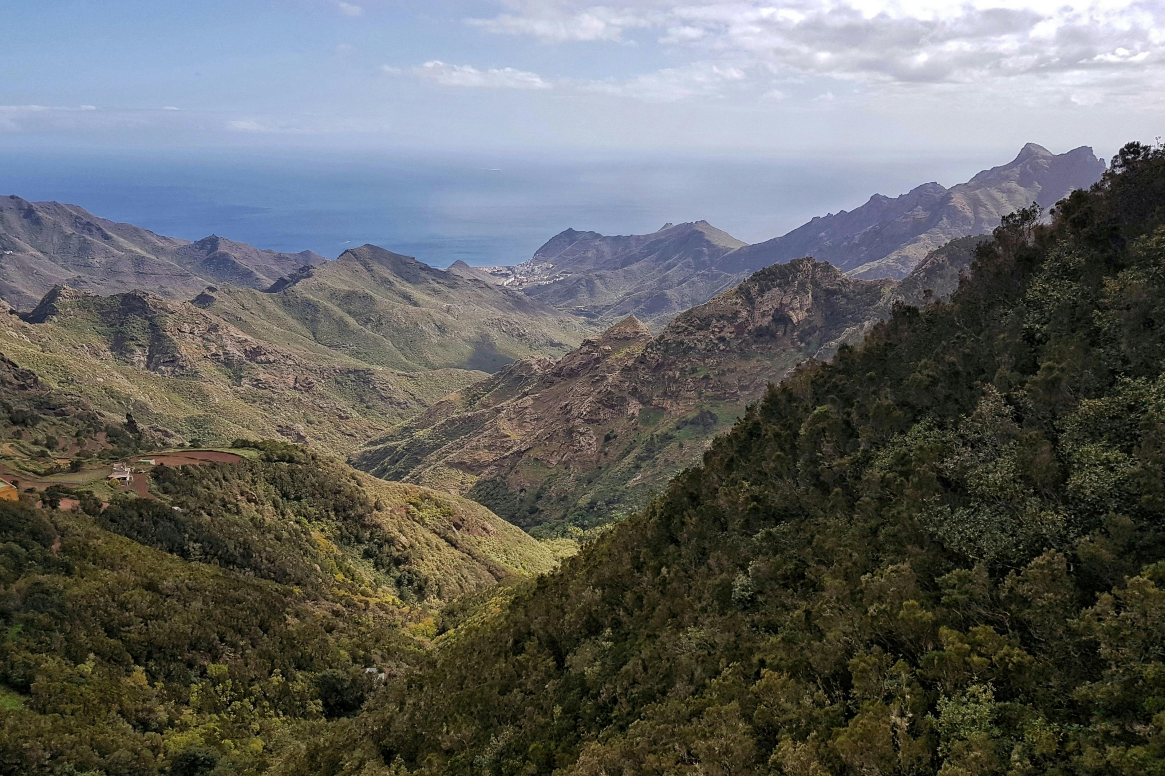 아나가 시골 공원