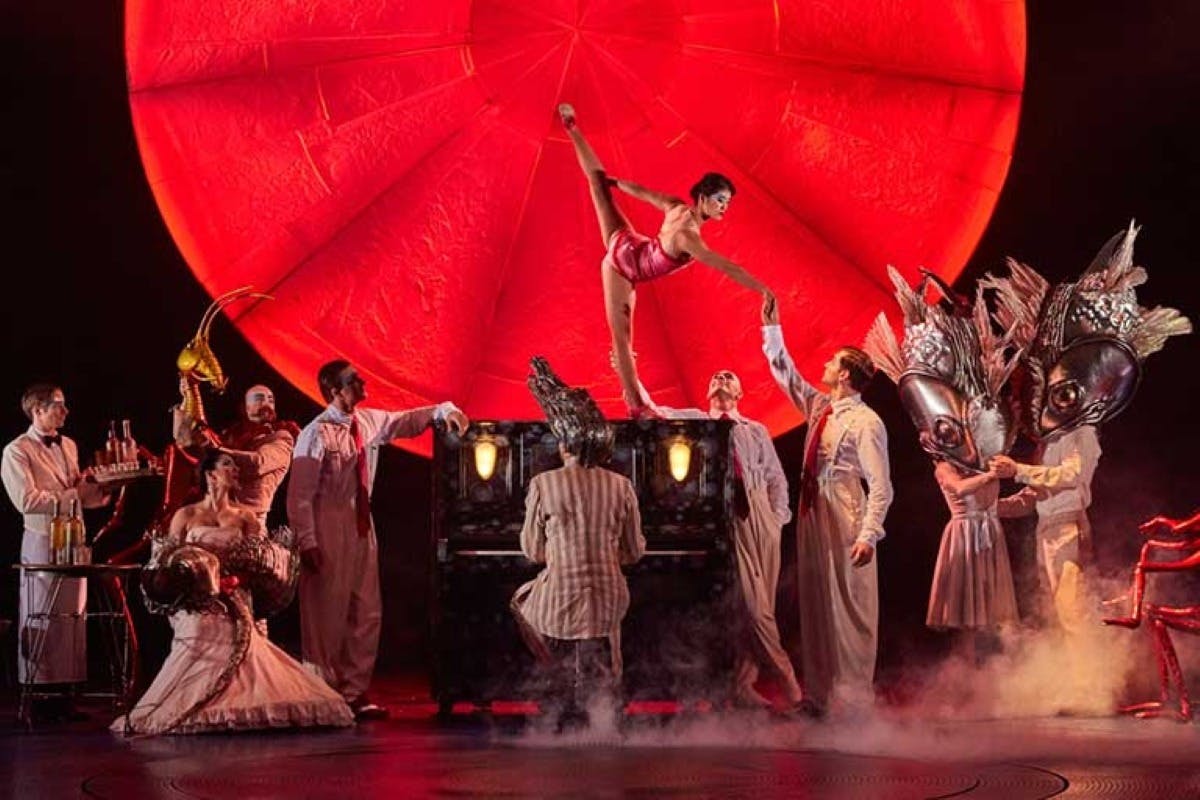 Cirque du Soleil LUZIA Miami: bilhete de entrada - Photo 4
