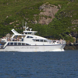 Killary Fjord Boat Tour 3