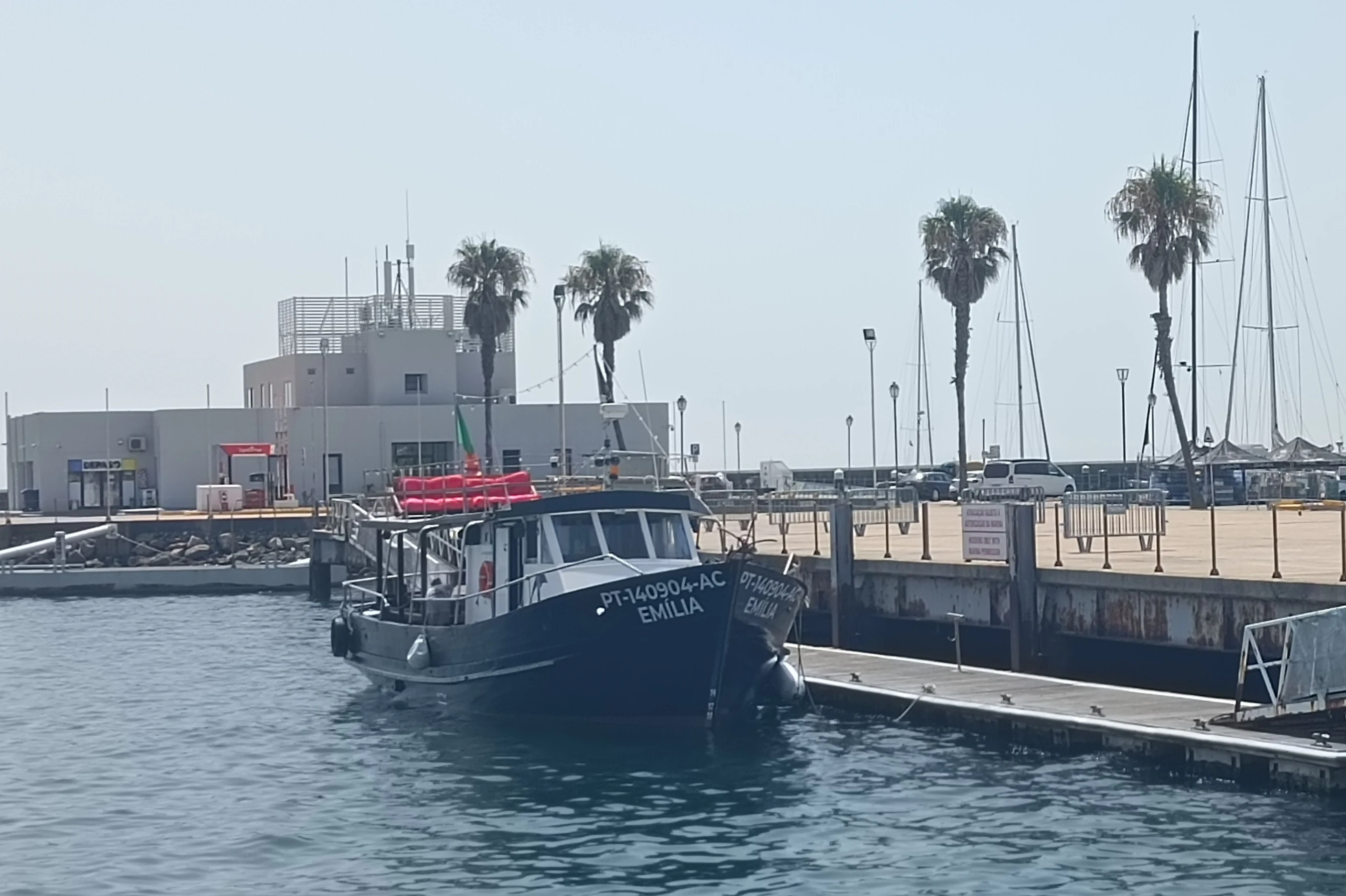 Cascais: Guided Coastal Cruise + Drinks