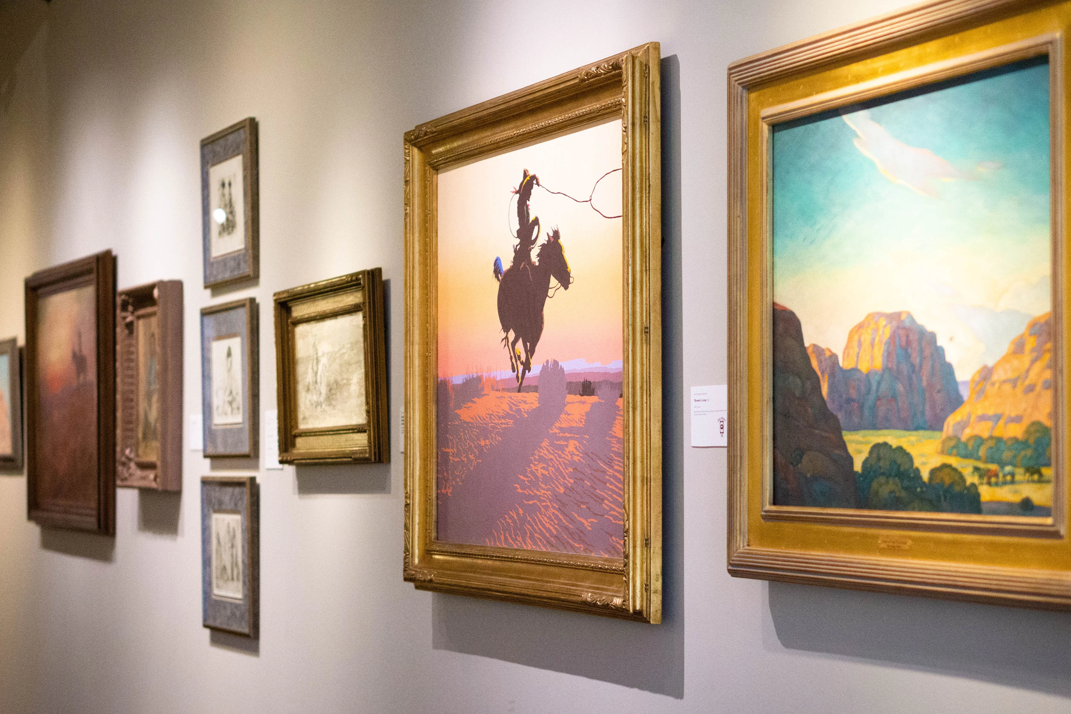 Briscoe Western Art Museum: Entry Ticket