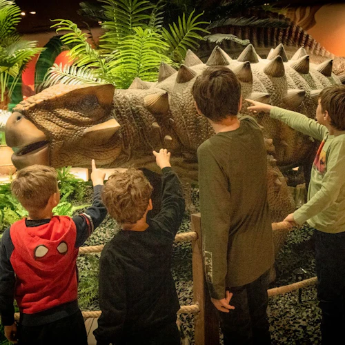 Dinosaur Outpost: Entry Ticket