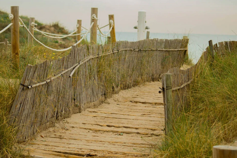 Route to ''el Saler'' beach