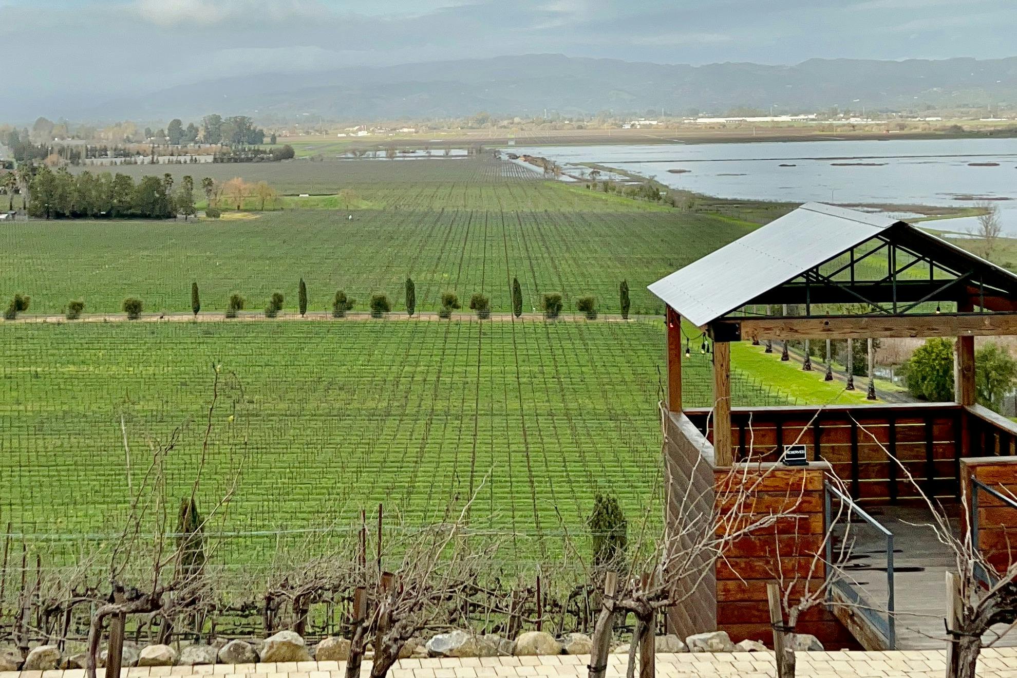 Views from the winery