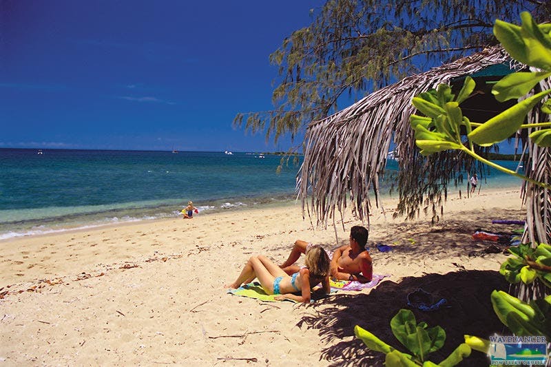 Two people sunbathe on a sandy beach near the ocean, under the shade of a tree. Another person swims in the water nearby.