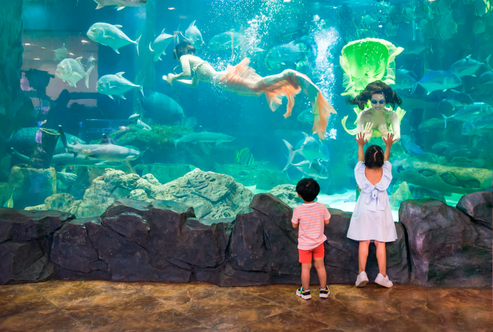 Two children observe a large aquarium where performers dressed as mermaids swim among fish and aquatic plants.