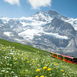 Jungfraujoch: Roundtrip Train from Grindelwald 4