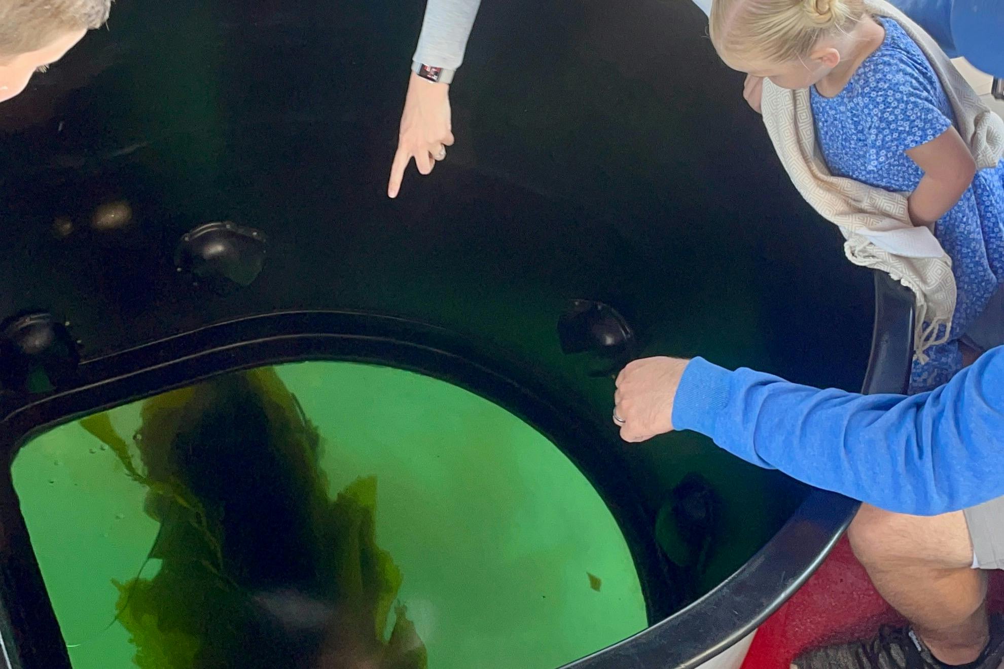 Long Beach Harbor Glass Bottom Boat EcoTour Tiqets