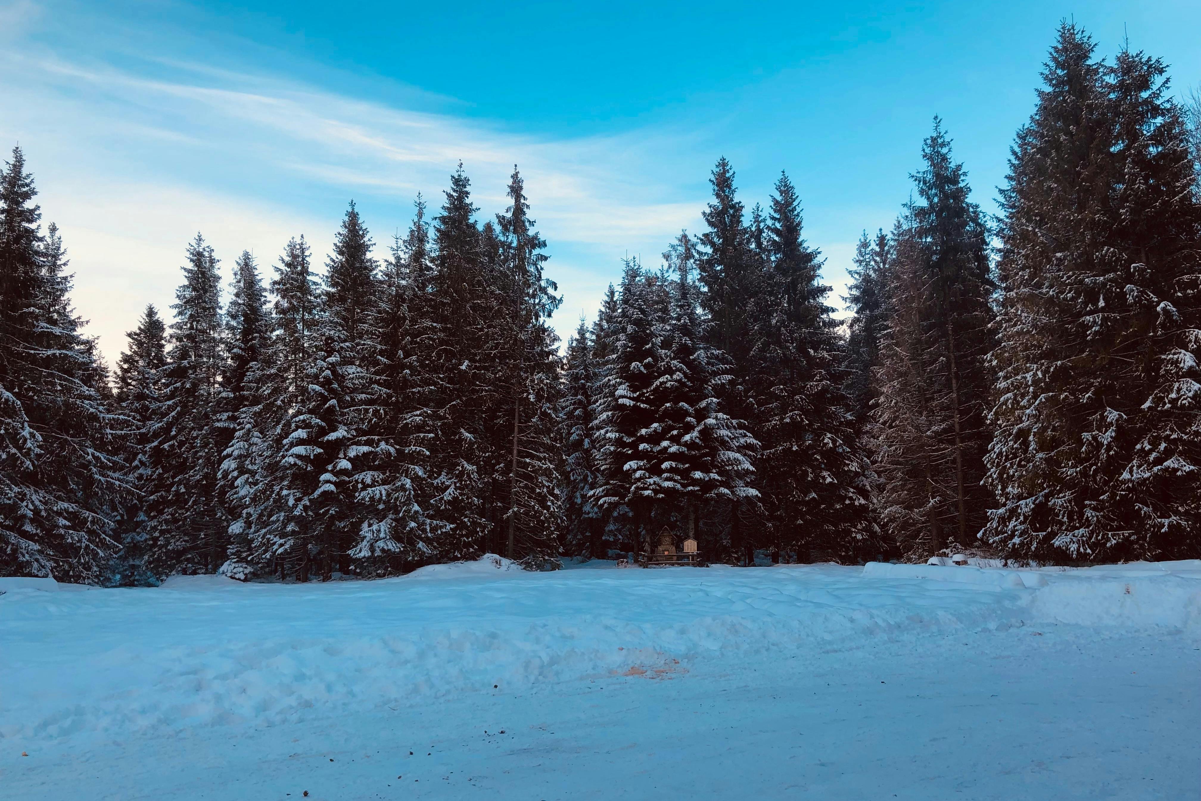 Vallée de Chocholowska