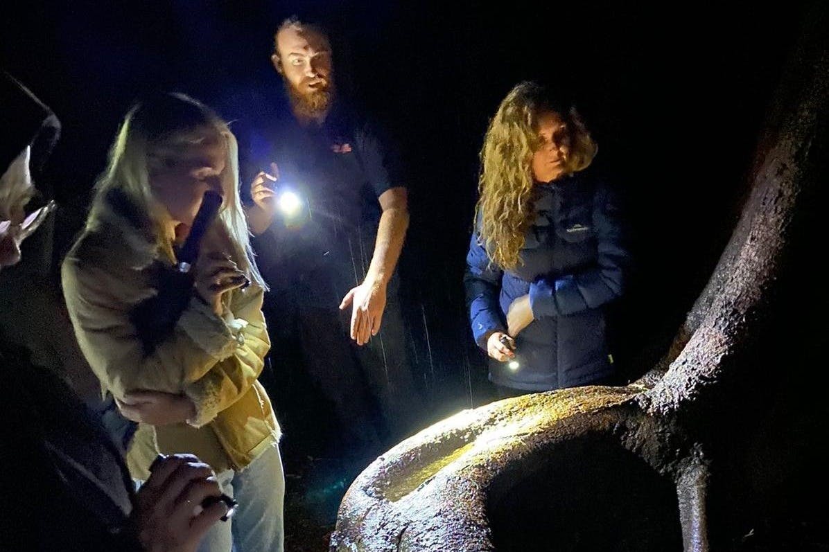 Guided rainforest tour