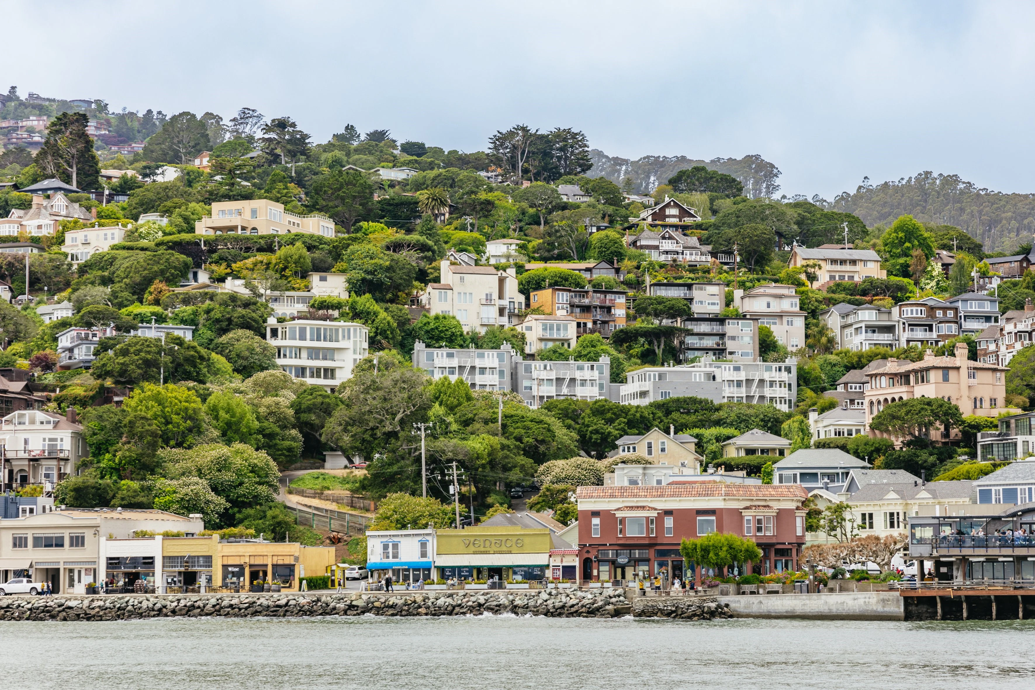 From San Francisco: Half Day Muir Woods Tour, Sausalito Tour and Bay Cruise