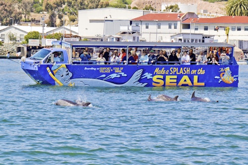 San Diego: 90-Minute Seal Tour with Amphibious Bus