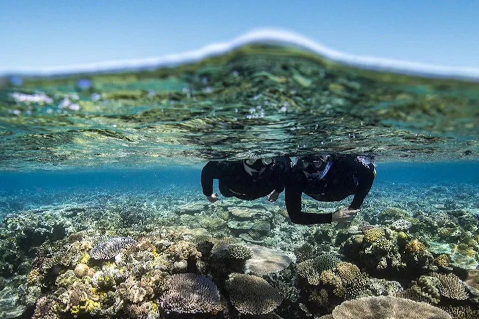 Viper: Outer Great Barrier Reef + Whitehaven + Hill Inlet