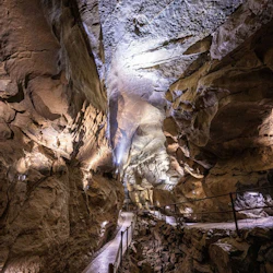 Cliffs of Moher & Aillwee Cave: Day Tour from Dublin + Bird of Prey Experience 3
