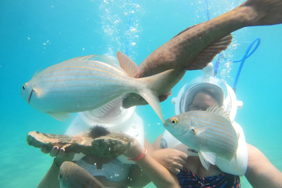 Two people underwater wearing helmets, surrounded by various fish and holding sea rocks.