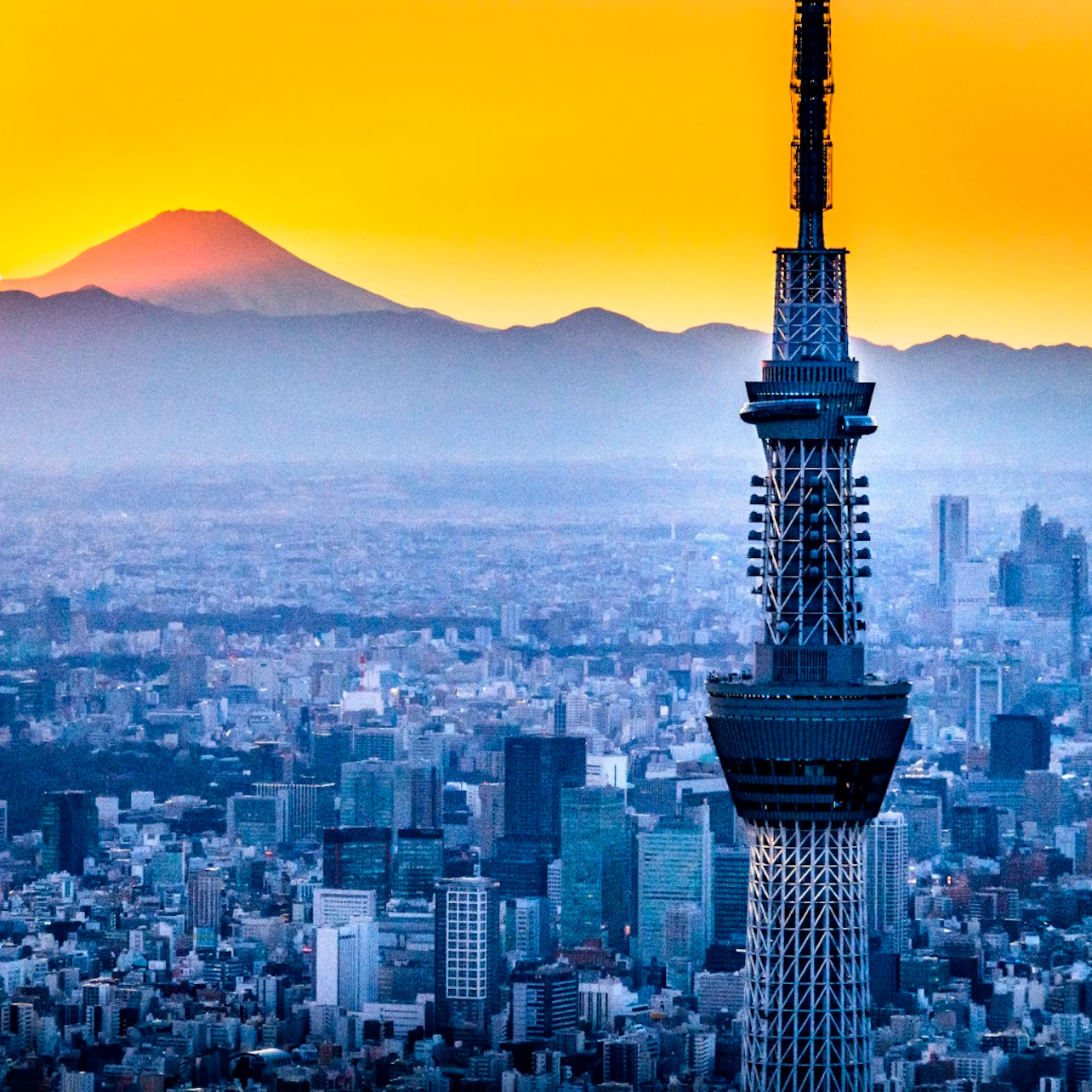 TOKYO SKYTREE: Entry Ticket for Tembo Deck & Galleria in Tokyo β Tiqets
