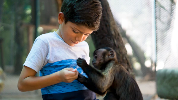 Akumal Quad Tour met Monkey Sanctuary en Cenote