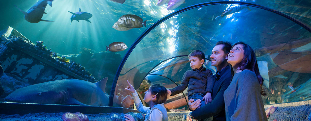 Gardaland SEA LIFE Aquarium: Biglietto d'ingresso