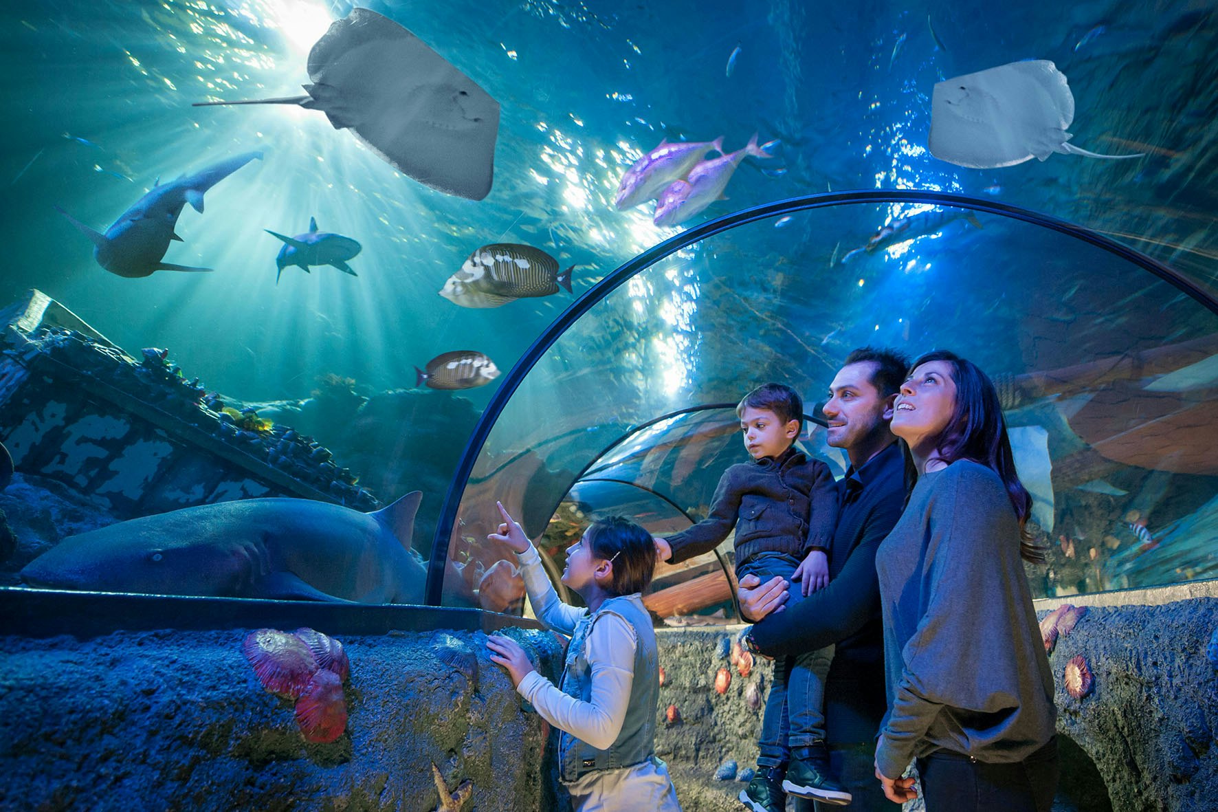 Gardaland SEA LIFE Aquarium: Entrada