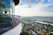 Дунайская башня