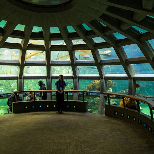 Tour Image 2