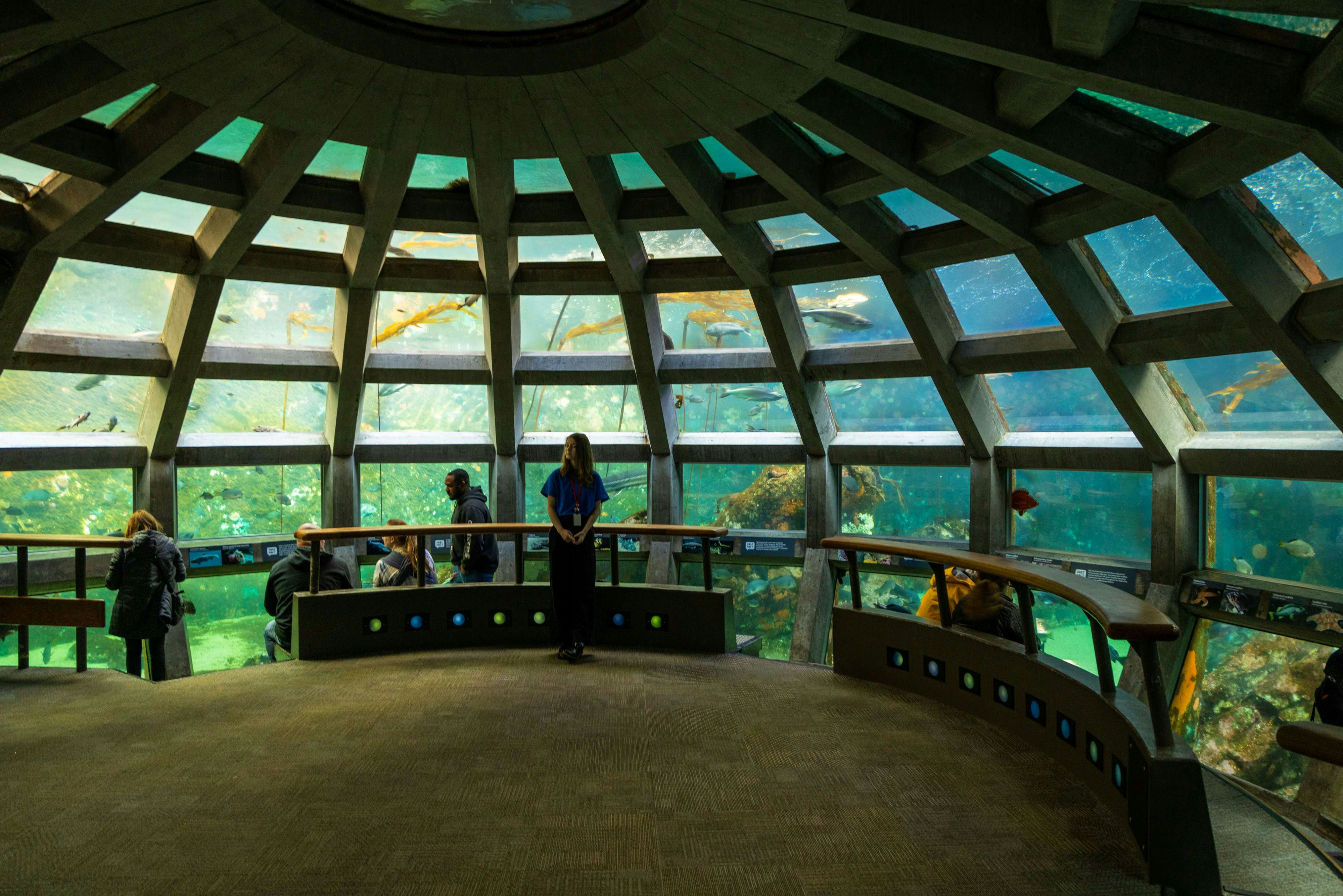 Acuario de Seattle: Entrada + Observatorio de la Torre Smith