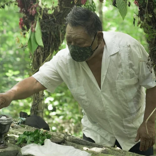 Cobá Ruins, Punta Laguna & Cenote: Guided Tour, Transfer from Tulum + Lunch - Photo 10