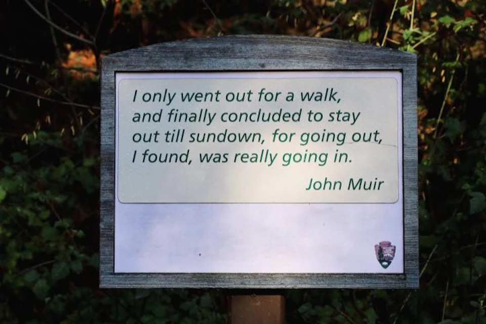 Muir Woods National Monument