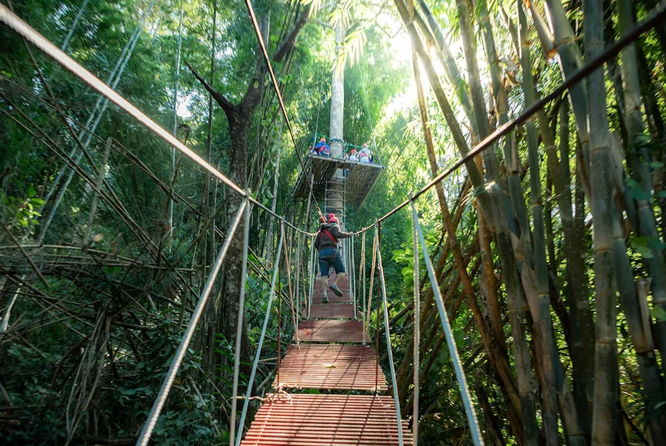 A person crossing a rope bridge in a forest toward a platform with other people, surrounded by dense greenery and sunlight.