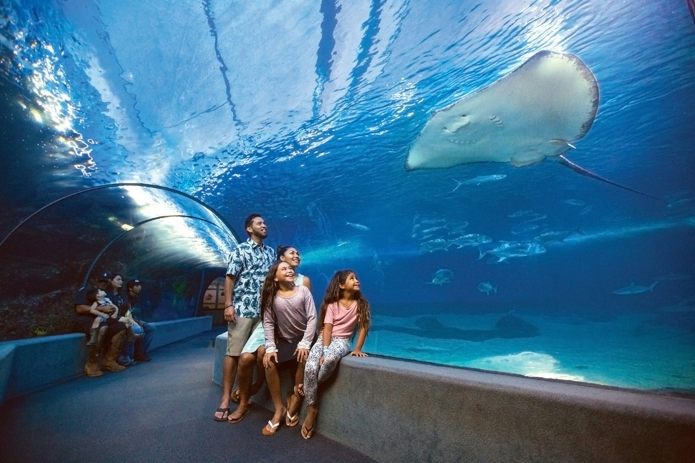 24-of-the-best-aquariums-in-the-us-the-family-vacation-guide