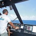 Salida en barco para ver delfines Mallorca